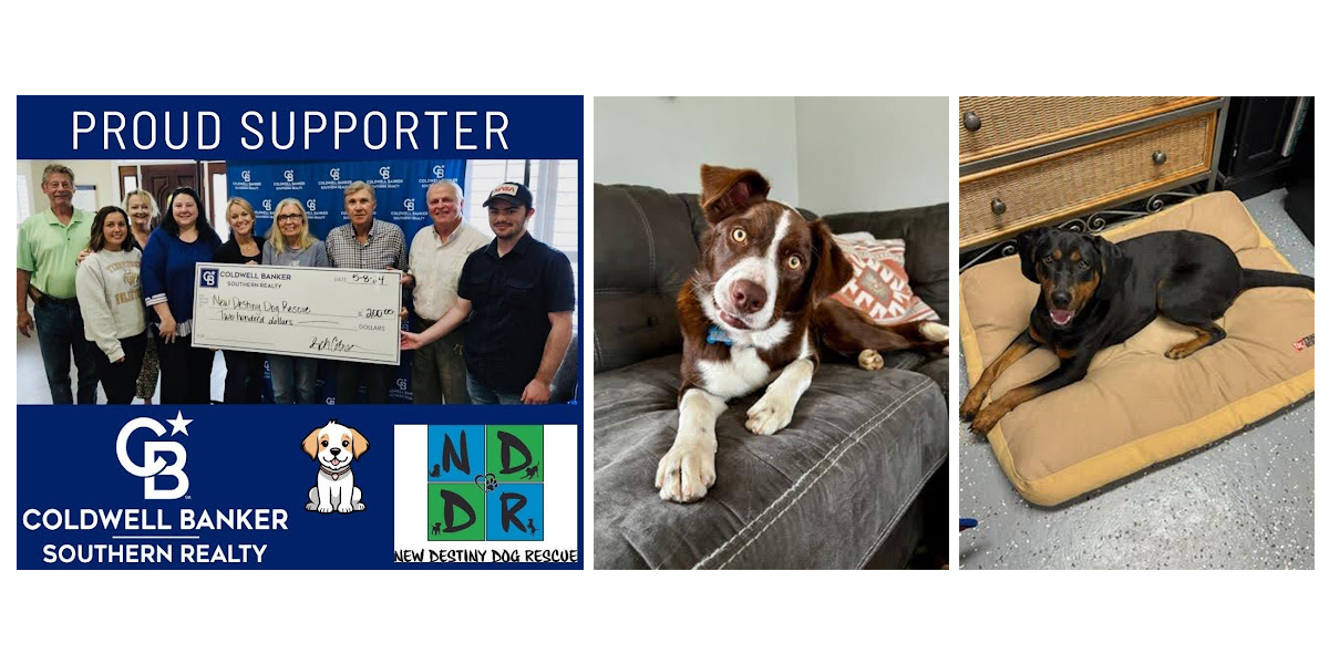 new-destiny-dog-rescue