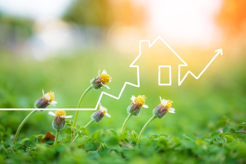 Spring Home Selling Guide