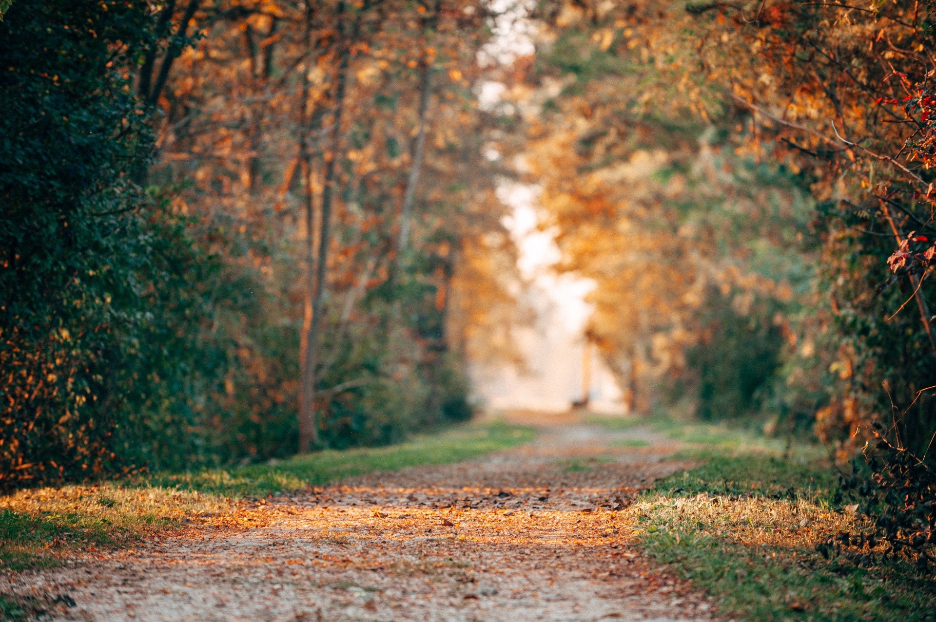 Heading Into Fall